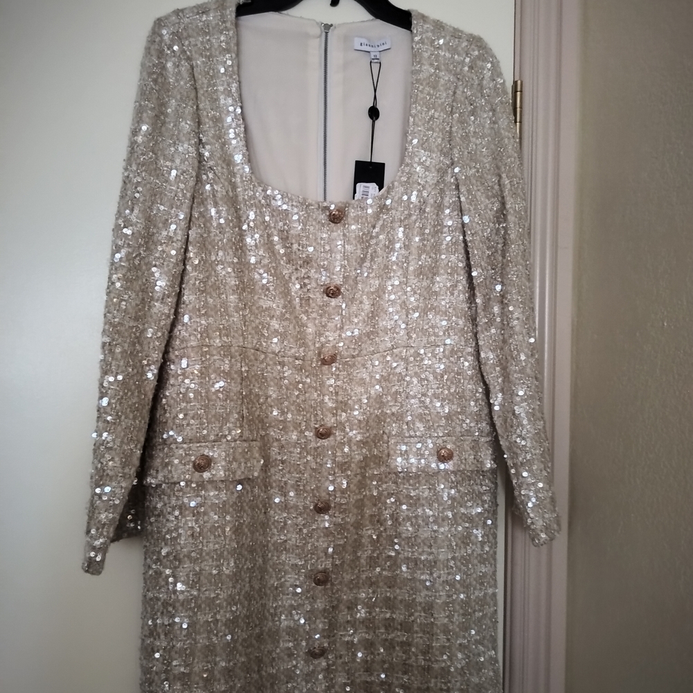 Elegant Sequin Dress